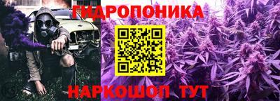 не бодяженный Бийск