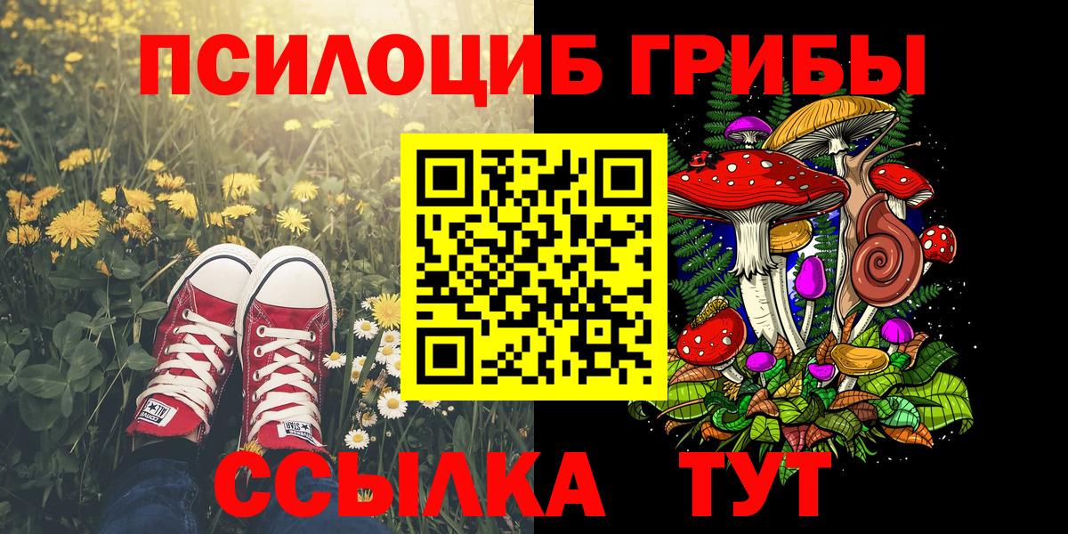 Псилоцибиновые грибы мицелий Орск