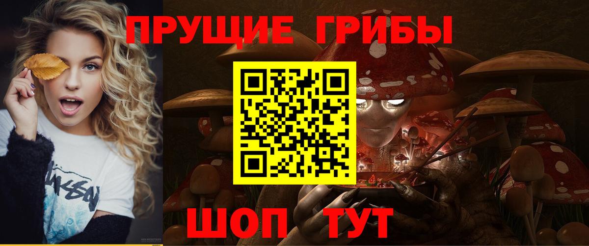 Псилоцибиновые грибы Magic Shrooms  Псилоцибиновые грибы Psilocybe  Вход с VPN  где найти наркотики  Орск 